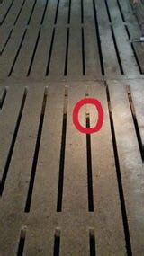 Placement huge in slat floor deficiencies .